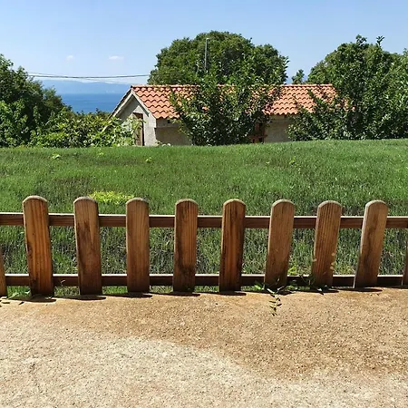 Marti * 코스트레나