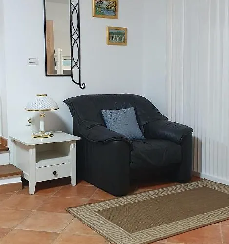 Marti 코스트레나