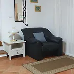 Marti 科斯特雷纳